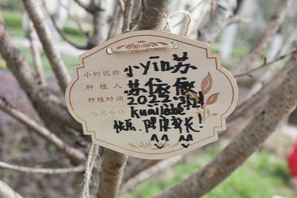 IMG_6708_看圖王 IMG_6708_看圖王